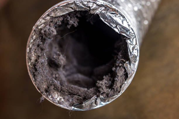 Best Best Air Duct Cleaning Company  in Bent Creek, NC